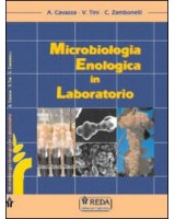 MICROBIOLOGIA ENOLOGICA IN LABORATORIO