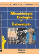 MICROBIOLOGIA ENOLOGICA IN LABORATORIO