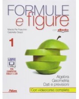 FORMULE E FIGURE 1 X BN LIC.