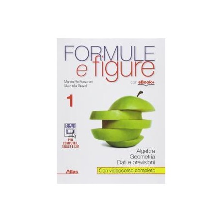 FORMULE E FIGURE 1 X BN LIC.