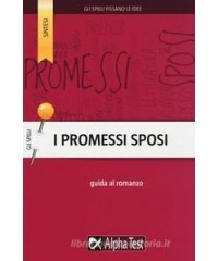 PROMESSI-SPOSI-ANALISI-GUIDATA-ROMANZO