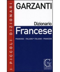 PICCOLO DIZIONARIO DI FRANCESE +MINI CD